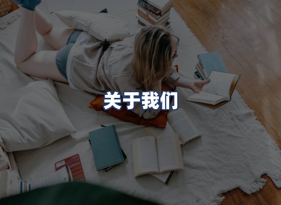 关于我们